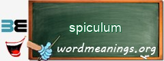 WordMeaning blackboard for spiculum
